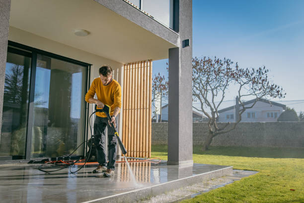 Best Solar Panel Cleaning  in Fanning Springs, FL